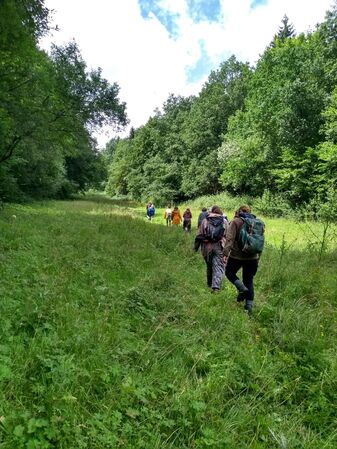 Visionssuche - Menschen gehen auf Wiesenpfad Richtung Wald bei ihrem Visionssuche Ritual